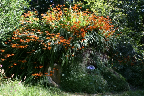 The Lost Gardens of Heligan